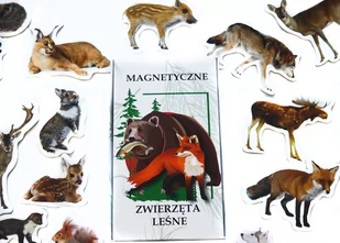 Magnesy na lodówę poznaję Zwierzęta Leśne - Magnesy - miniaturka - grafika 1