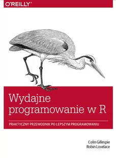 APN PROMISE Wydajne programowanie w R Praktyczny przewodnik po lepszym programowaniu Colin Gillespie Robin Lovelace - Książki o programowaniu - miniaturka - grafika 1