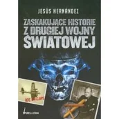 Czasopisma - Zaskakujące historie z drugiej wojny światowej - miniaturka - grafika 1