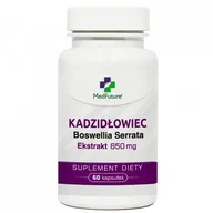 Stawy, mięśnie, kości - Kadzidłowiec ekstrakt 650mg x 60 kaps (MedFuture) - miniaturka - grafika 1