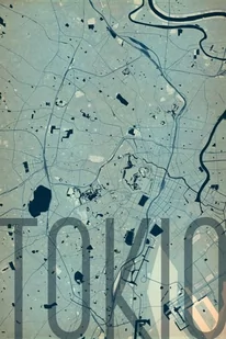Plakat NICE WALL, Tokio  Artystyczna mapa 61x91,5 cm - Plakaty - miniaturka - grafika 1