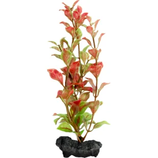 Ozdoba akwariowa DecoArt Plant L Red Ludwigia TETRA - Dekoracje do akwarium - miniaturka - grafika 1