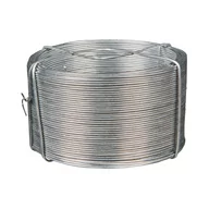 Łańcuchy i liny stalowe - Drut stalowy galwanizowany 0.9 mm x 50 m Standers - miniaturka - grafika 1