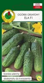 Nasiona i cebule - Ogórek gruntowy Ela F1 5 g PNOS - miniaturka - grafika 1