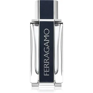Salvatore Ferragamo Ferragamo woda toaletowa 100ml - Wody i perfumy męskie - miniaturka - grafika 1