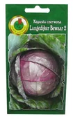 Nasiona i cebule - Odmiana późna (150-160 dni od wysadzenia rozsady do zbioru). Główki kuliste, lekko wydłużone o masie 2-2,5 kg. - miniaturka - grafika 1
