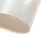 Dekoratorstwo - Galeria Papieru Papier dekoracyjno - wizytówkowy 21x29,7cm - PAPIRUS biały 20100 - miniaturka - grafika 1