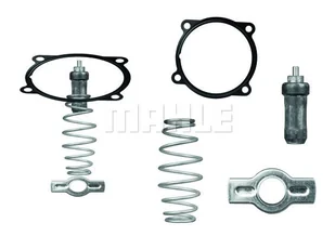 Termostat, płyn chłodzący Mahle TX 51 79D - Termostaty - miniaturka - grafika 1