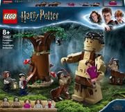 Klocki - LEGO HARRY POTTER ZAKAZANY LAS SPOTKANIE UMBRIDGE 75967 - miniaturka - grafika 1