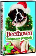 Beethoven świąteczna przygoda DVD