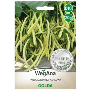 Fasola zwykła karłowa Golda nasiona 20g nasiona - WegAna - Nasiona i cebule - miniaturka - grafika 1