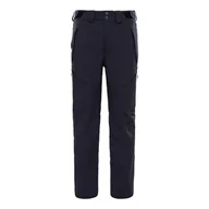 Spodnie narciarskie - Spodnie narciarskie zimowe męskie The North Face M Chakal Pant - miniaturka - grafika 1