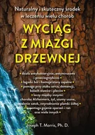 Poradniki hobbystyczne - Wyciąg z miazgi drzewnej - miniaturka - grafika 1