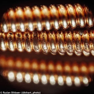 (BG) Mikroskop cyfrowy Levenhuk Rainbow D50L PLUS 2M, MoonstoneKamień księżycowy - Mikroskopy i lupy - miniaturka - grafika 20