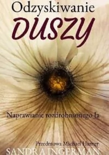 New Space Odzyskiwanie duszy Sandra Ingerman - Literatura popularno naukowa dla młodzieży - miniaturka - grafika 2