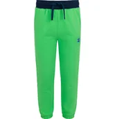 Dresy i komplety dla chłopców - Spodnie dresowe dla chłopca, zielone 9-13 lat - miniaturka - grafika 1