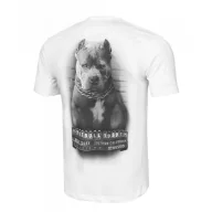 Odzież taktyczna i umundurowanie - Koszulka Pit Bull 190 Regular Series Mugshot II '24 - Biała XXL - miniaturka - grafika 1