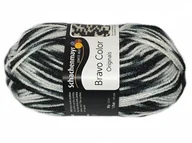 Pasmanteria - Import Włóczka Schachenmayr Bravo Color (02336) A58B-52541_20211127194453 - miniaturka - grafika 1