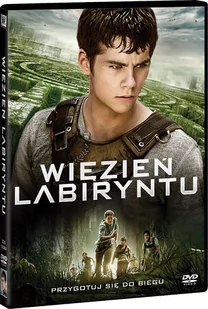 Więzień labiryntu - Filmy fantasy DVD - miniaturka - grafika 1