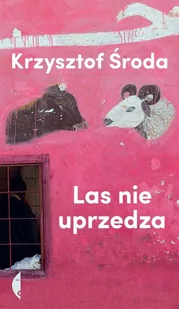 Czarne Las nie uprzedza - KRZYSZTOF ŚRODA - Wywiady - miniaturka - grafika 1