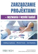 Zarządzanie - Zarządzanie projektami - wyzwania i wyniki badań - miniaturka - grafika 1
