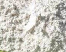 Diato Powder diatomit worek 10kg ziemia okrzemkowa