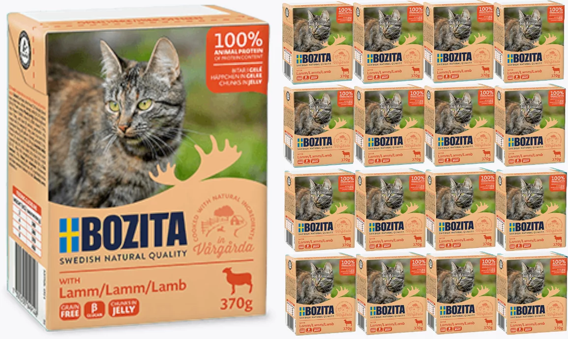 Bozita Cat Jagnięcina W Galaretce 16 x 370g