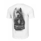Odzież taktyczna i umundurowanie - Koszulka Pit Bull 190 Regular Series Mugshot II '24 - Biała XXL - miniaturka - grafika 1