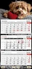 Kalendarze - Kalendarz 2026 trójdzielny płaska główka piesek - miniaturka - grafika 1