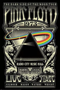 Plakat Pink Floyd 1973 61X91,5Cm - Plakaty - miniaturka - grafika 1
