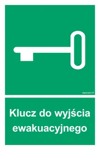 AC026 KLUCZ DO WYJŚCIA EWAKUACYJNEGO, FS - FOLIA SAMOPRZYLEPNA FOTOLUMINESCENCYJNA; (200X300MM) - Systemy ekspozycyjne i znaki informacyjne - miniaturka - grafika 1