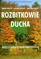 Religia i religioznawstwo - Rozbitkowie ducha. Rzecz o sektach charyzmatycznych - miniaturka - grafika 1