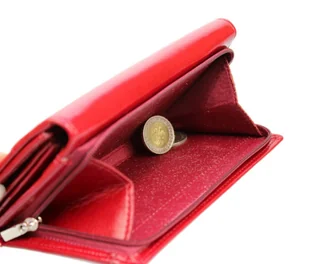 Portfel Damski WILMAR (PL) Długi Suwak Na Zewnątrz Skóra Włoska WIL_P20 16.5 x 9 [cm] - Portfele - miniaturka - grafika 8