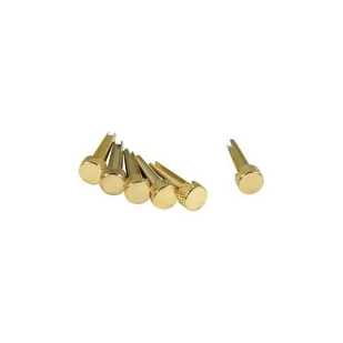 D'Andrea Tone Pins Solid Brass kołki gitary akustycznej zatyczki mosiężne kołeczki złote komplet 6 szt - Inne akcesoria gitarowe - miniaturka - grafika 1