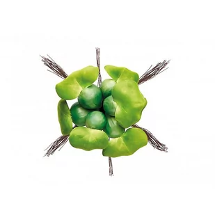Pontec PondoHyacinth - pływający hiacynt - Oczka wodne - miniaturka - grafika 1