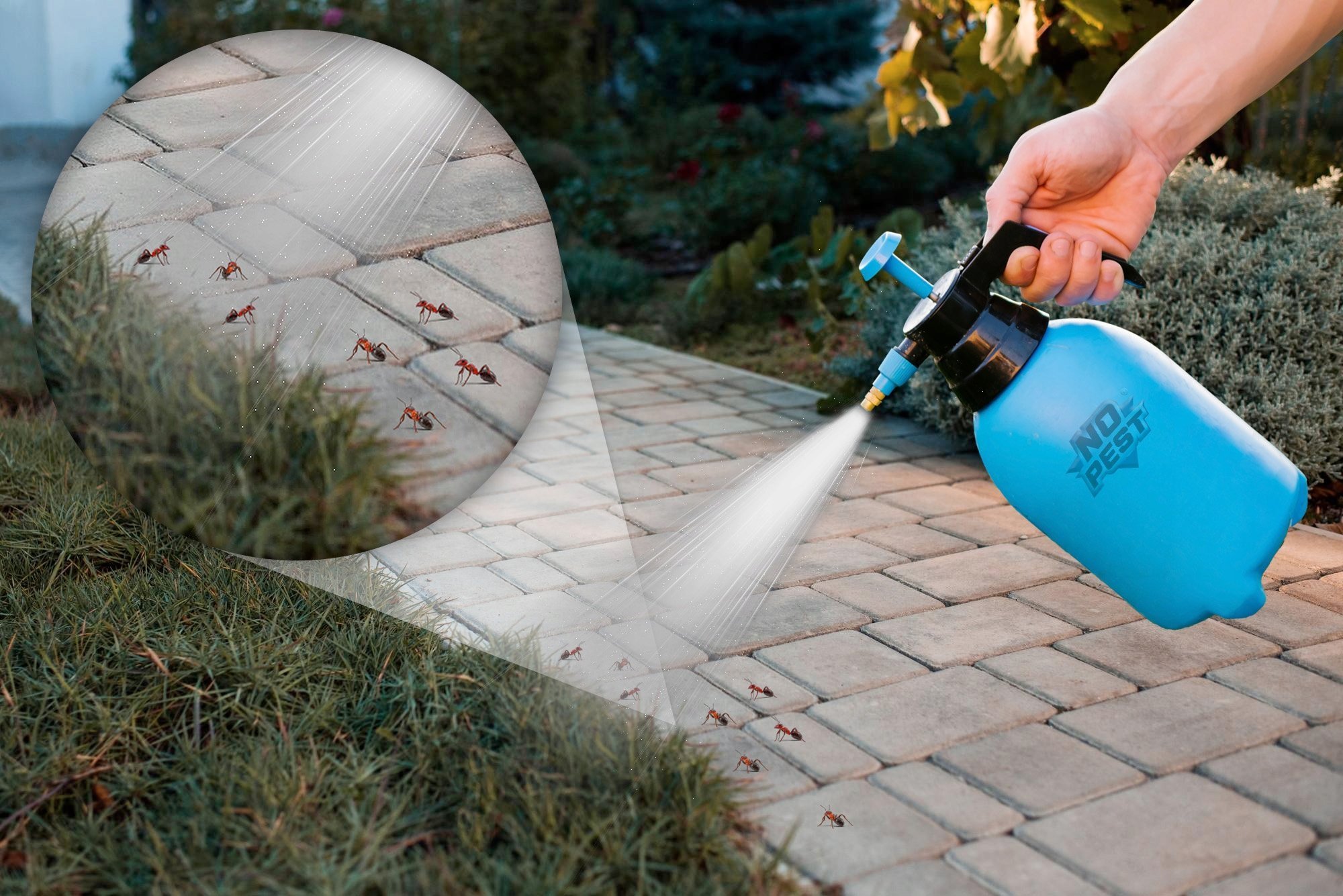 NO PEST Oprysk na Mrówki 50ml