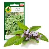 Nasiona i cebule - SZAŁWIA LEKARSKA ZIOŁA NASIONA ZIÓŁ BEZ GMO - miniaturka - grafika 1