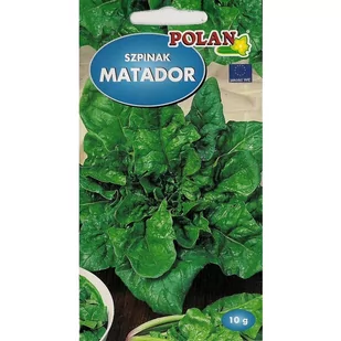 SZPINAK MATADOR 10G - Nasiona i cebule SZPINAK MATADOR 10G - Nasiona i cebule - miniaturka - grafika 1