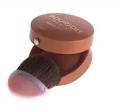 Róże do policzków - Bourjois Blush róż do policzków odcień Brun Illusion 11 2,5 g - miniaturka - grafika 1