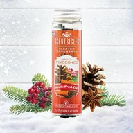 Zapachy do domu - Patyczki zapachowe na choinkę 6 sztuk Spiced Pine Cones Scentsicles - miniaturka - grafika 1