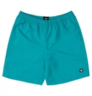 Spodnie i spodenki dla chłopców - DC Shoes Szorty chłopięce Late Daze 16" - Elasticated Shorts For Boys zielony S EDBWS03069-gpf0 - miniaturka - grafika 1