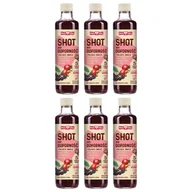 Soki i napoje niegazowane - Polska Róża Shot na odporność polskie owoce zestaw 6 x 250 ml - żywność - miniaturka - grafika 1