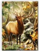 Gadżety dla niej i dla niego - Haft diamentowy - diamentowa mozaika - Jeleń w lesie Norimpex - miniaturka - grafika 1