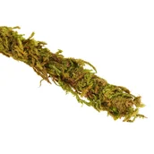 Dekoracje do terrarium - Repti-Zoo Liana Z Naturalnym Mchem 1,5Cm X 2M - miniaturka - grafika 1