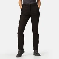 Spodnie damskie - Regatta Damskie Spodnie Trekkingowe Softshell Fenton Czarny, Rozmiar: one Size - miniaturka - grafika 1