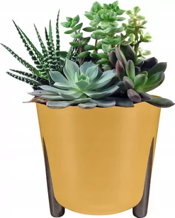 DONICZKA DONICA NA NÓŻKACH FRIDA 260 ECO MUSZTARDA - Donice - miniaturka - grafika 1