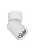 Lampy sufitowe - Timo lampa sufitowa (spot) 1-punktowa biała - miniaturka - grafika 1
