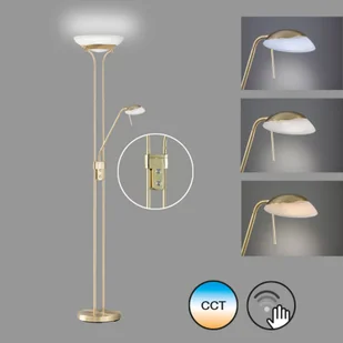 FISCHER & HONSEL Lampa stojąca LED Pool, kolor mosiądz, wysokość 182 cm, 2-punktowa. - Lampy stojące - miniaturka - grafika 2
