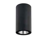 Lampy ogrodowe - Oprawa sufitowa zewnętrzna NIDAROS 2125GR - Norlys - miniaturka - grafika 1