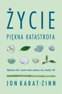 Życie, piękna katastrofa - E-booki - poradniki - miniaturka - grafika 1